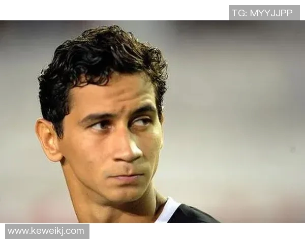 足球明星甘索精彩瞬间全景图集欣赏与解读 足球明星甘索精彩瞬间全景图集欣赏与解读